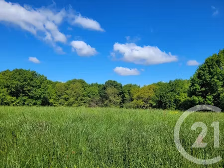 vente terrain 6910 m² à thermes-magnoac (65230)  40 000 €