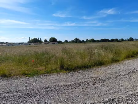 vente terrain 1000 m² à saint-maurice-les-brousses (87800)  35 000 €