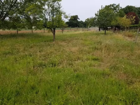 vente terrain 1200 m² à nercillac (16200)  55 000 €