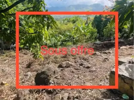 vente terrain à batir 366 m² à vieux habitants (97119)  55 000 €