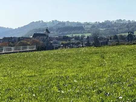 vente terrain 1650 m² à saint-etienne-de-maurs (15600)  50 000 €