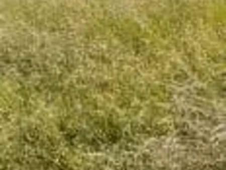 vente terrain 500 m² à grandvillars (90600)  55 000 €