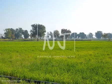 vente terrain 619 m² à la ménitré (49250)  58 844 €