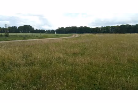 vente terrain 650 m² à epoye (51490)  91 400 €