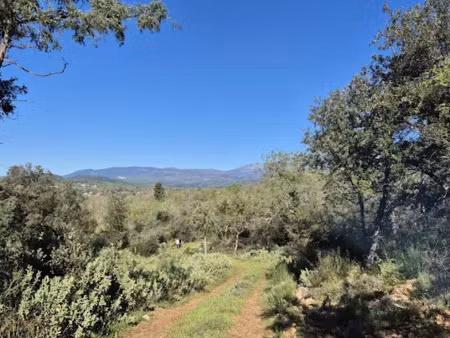 vente terrain 6717 m² à saint-cézaire-sur-siagne (06530)  143 000 €