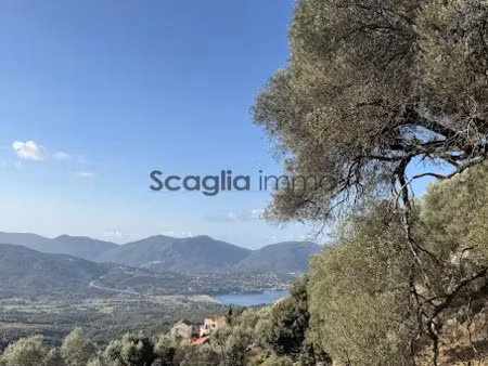 vente terrain 1124 m² à olmeto (20113)  163 000 €