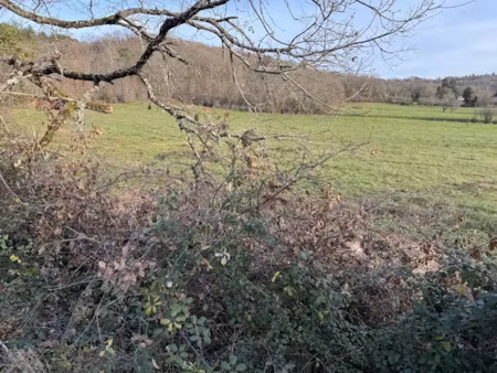 vente terrain 20287 m² à gindou (46250)  168 000 €