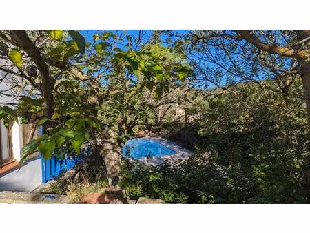 maison de campagne villa avec arbres centenaires et piscine