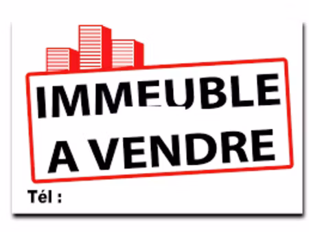 vente locaux professionnels 170 m² à cosne-cours-sur-loire (58200)  199 000 €