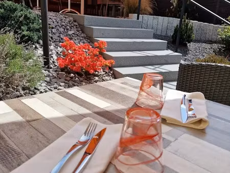 vente locaux professionnels 900 m² à ban-de-laveline (88520)  425 000 €