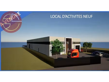 vente locaux professionnels 1 pièce 1007 m² à castelnaudary (11400)  1 254 750 €