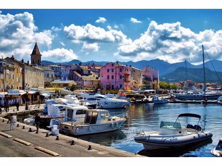 vente locaux professionnels à saint-florent (20217)  945 000 €