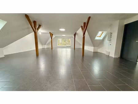 location locaux professionnels 100 m² à reichstett (67116)  1 350 €