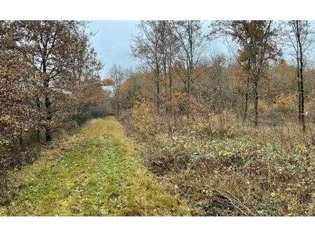 terrain châtres-sur-cher m² t- à vendre  33 500 €