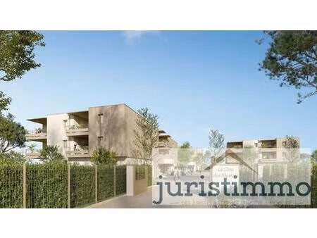 juristimmo expertimo