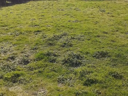 terrain 1600 m2 03340 montbeugny