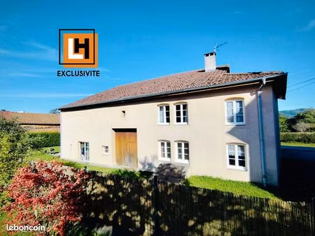 immeuble 467 m² brouvelieures