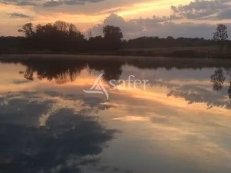 terrain 44874 m² foulenay