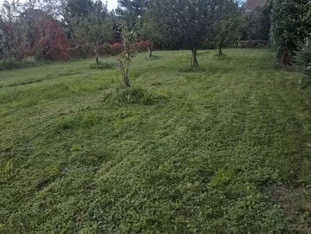 terrain constructible