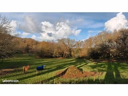 propriété 10 pièces 300 m²