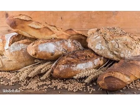 boulangerie pâtisserie sandwicherie