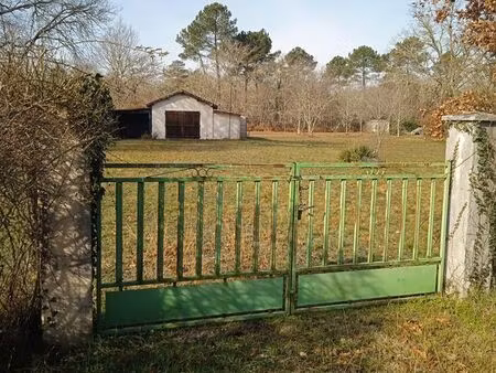 terrain viabilisé constructibre et divisible zone f2 4048m2