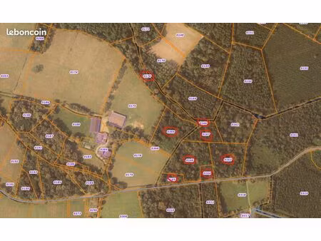 parcelles de bois à perquie