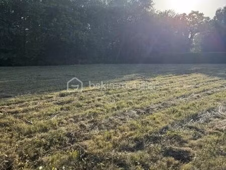 forêt 3 255 m² boulazac