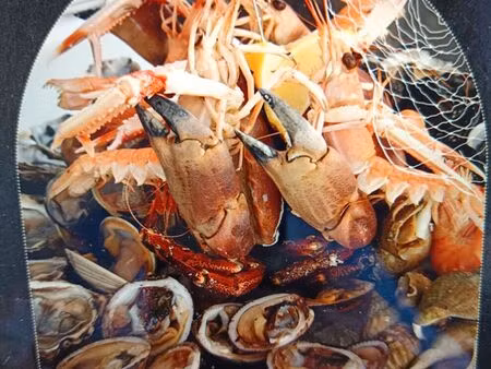 poissonnerie 25 m² plerin