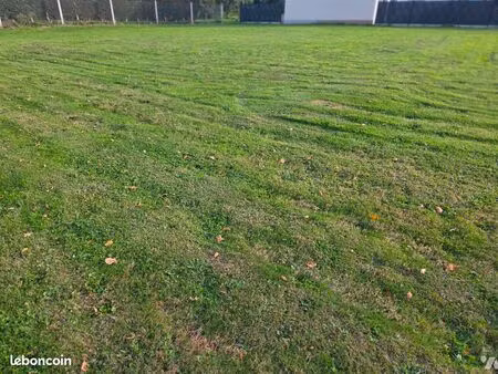 terrain 1030 m² reuville