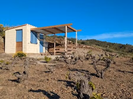 petite vigne avec cazot vue mer