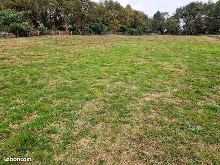 terrain prêt à construire à gourbera (40990) – landes