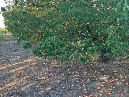 terrain agricole / loisir -4 700 m2