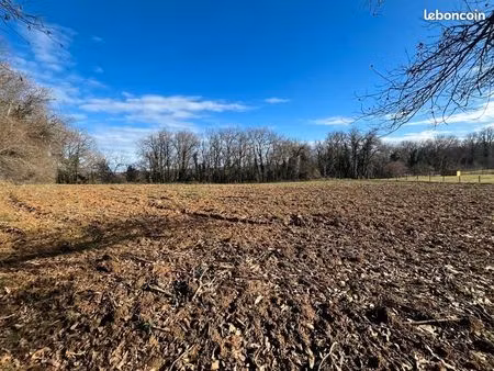 terrain 4 396 m² paulin