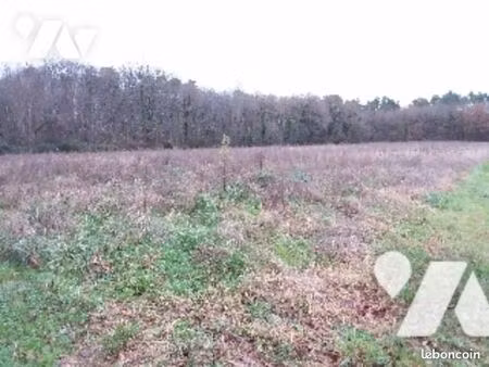 terrain 71806 m² pouille