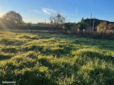 terrain viabilisé peyssies secteur muret