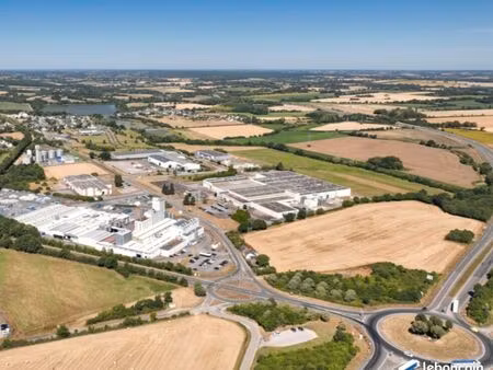 local 1000 m² sausheim