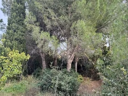 terrain 1000 m² canohès