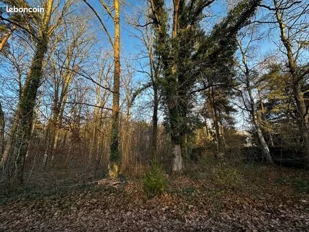 terrain 1 500 m² la genevraye