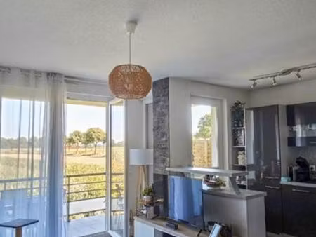 appartement 2 pièces + 2 garages