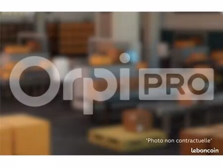 local d'activité 74 m²