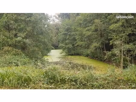 terrain 3587 m² ville sur ancre