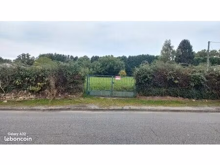 terrain constructible