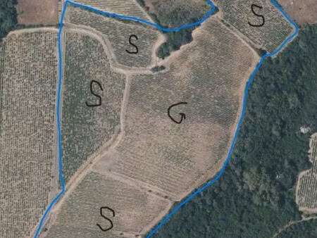 vignes syrah grenache bio 6.5h d'un seul tenant