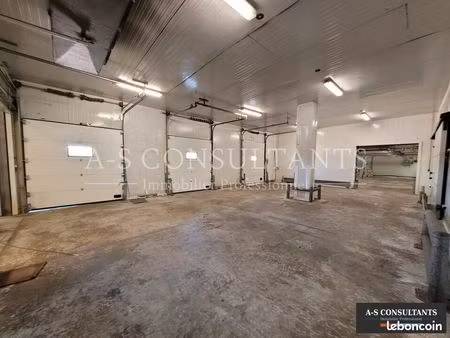 local d'activite 1000 m² saint symphorien d'ozon