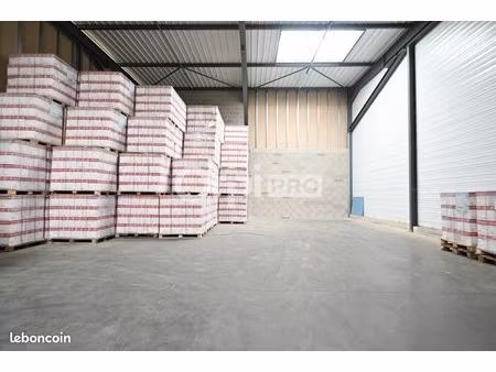 local d'activité 300 m²