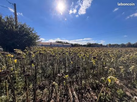 terrain 1399 m² juillan