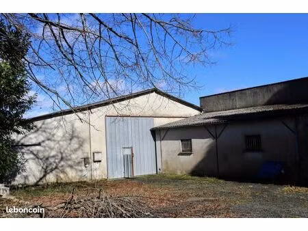 local 800 m² champsac