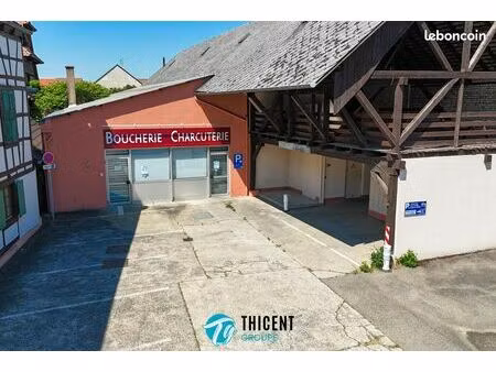 local commercial 289 m² hoerdt