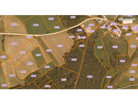 parcelles de bois usson-en-forez